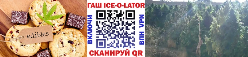 Еда ТГК конопля  Купить закладки  Звенигород 