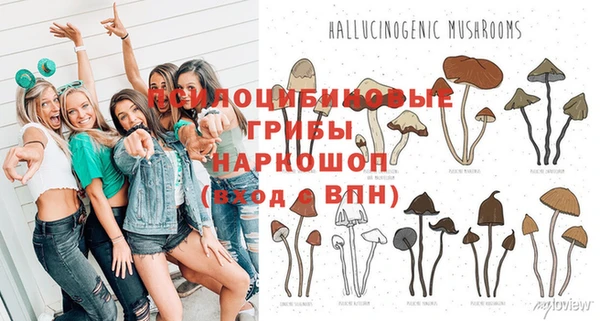 герыч Зеленокумск
