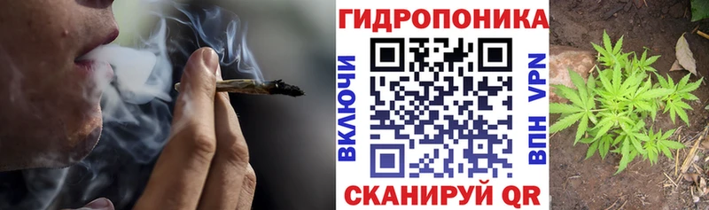 Канабис план  Купить  Звенигород 